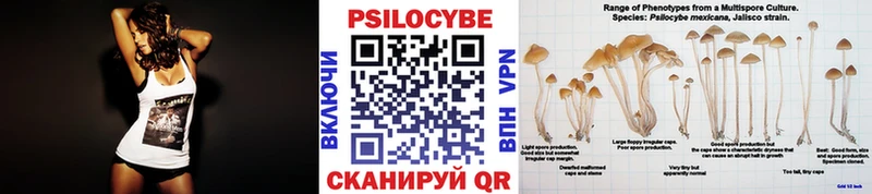 KRAKEN зеркало дарнет шоп Белёв Псилоцибиновые грибы мухоморы